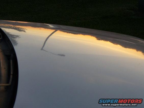 Silver car hood reflecting sunset and trees