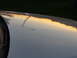 1995 Ford Thunderbird - Reflection of sunset and trees on a silver car hood. The registry claims this is a 1995 Ford Thunderbird, but the image does not provide en…