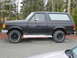 1987 Ford Bronco - Side view of a 1987 Ford Bronco parked outdoors with trees in the background.