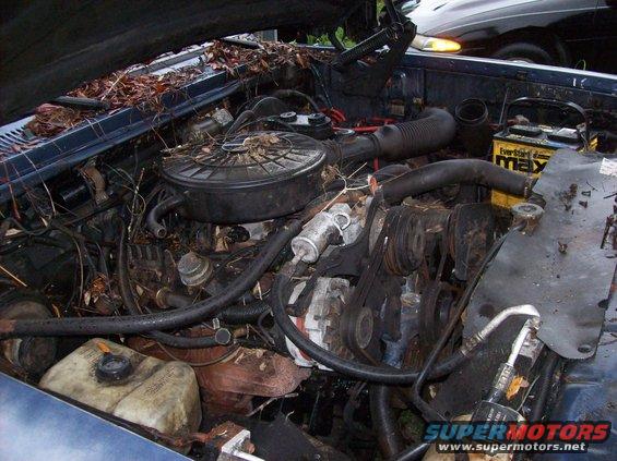Engine bay of a blue 1988 Dodge Power Ram, covered in leaves and debris, with a Maxell battery visible