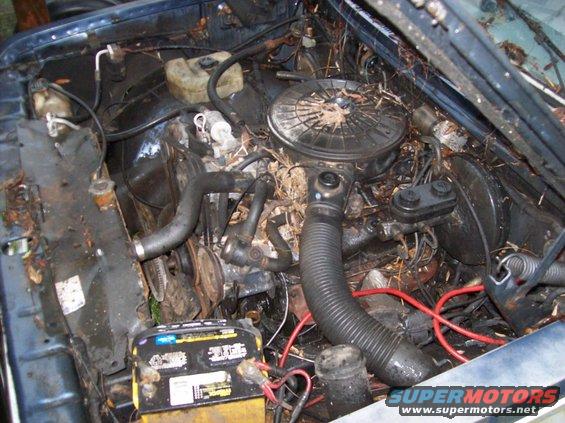 Engine bay filled with leaves and dirt, showing engine components and battery
