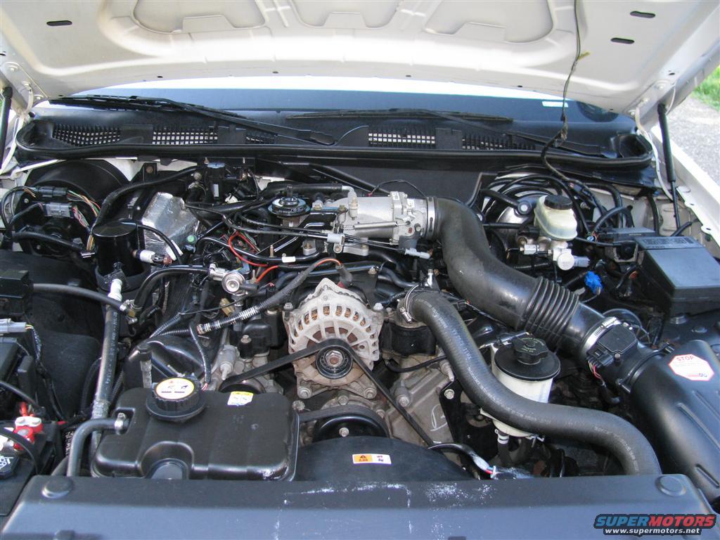 2001 Ford Crown Victoria photo