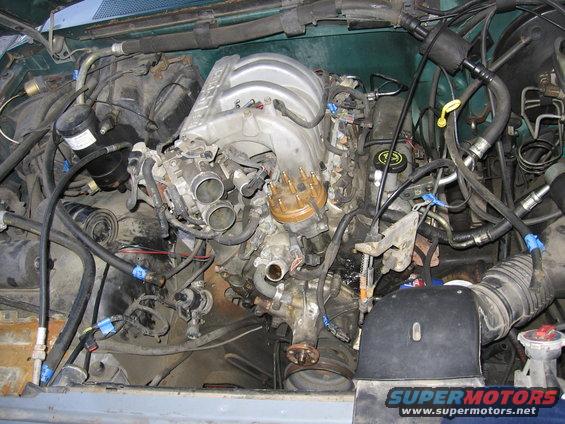 Engine bay with a V8 engine, intake manifold, distributor, and various hoses and wires