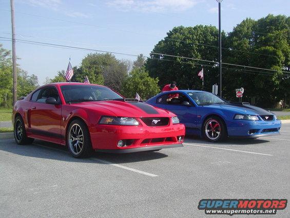 Red 2004 Ford Mustang parked next to a blue one, both with racing stripes