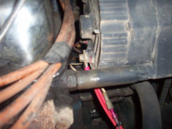 Close-up of alternator wiring with orange spark plug wires and red electrical connectors