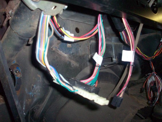 Vehicle wiring harness with multicolored wires and connectors, viewed from interior