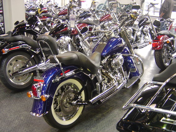 Row of motorcycles, including a blue Harley-Davidson in the foreground, inside a dealership