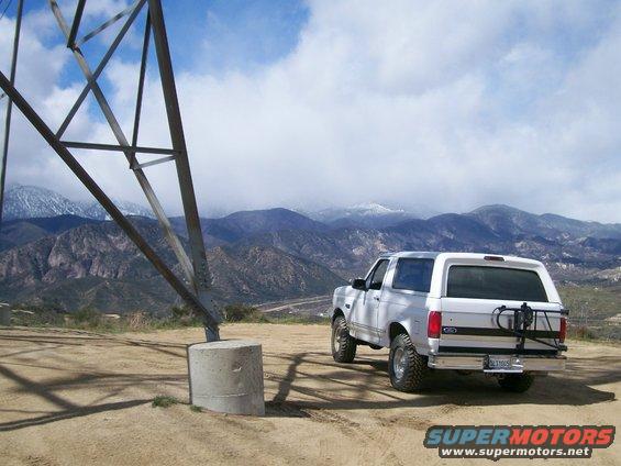 Cleghorn Bronco