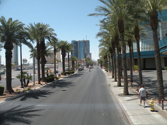 Street view down the Las Vegas Strip with palm trees and buildings