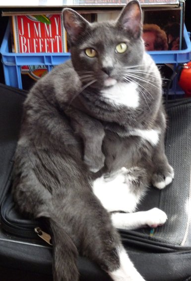 copyp1000152.jpg Ellie looking chunky.