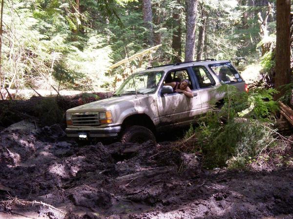 600_8700401.jpg She's at it again :-)