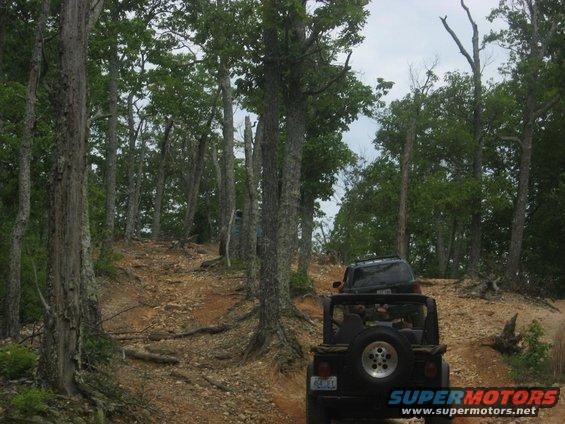 Two Jeeps on a wooded trail, one in foreground, one climbing ahead