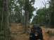 1987 Suzuki Samurai - Two Jeeps navigate a rocky, wooded trail, off-road capability.