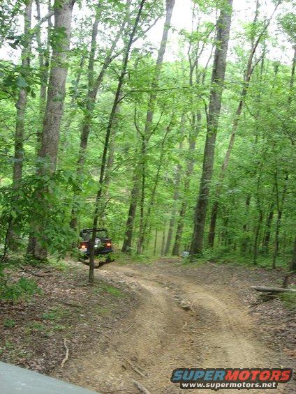 Dark SUV driving on a dirt path through a dense forest