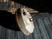 1975 Ford Ranchero - A used brake booster is shown, likely removed from a vehicle for repair or salvage.