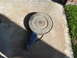 1975 Ford Ranchero - Air cleaner assembly resting on a concrete surface next to grass.