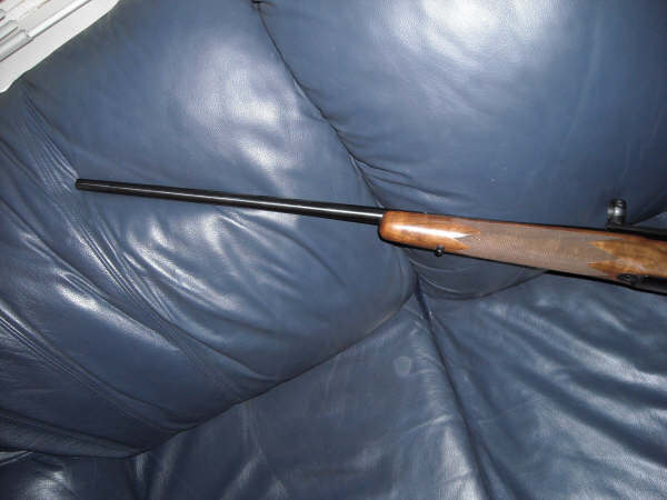 Rifle barrel and wooden stock resting on a blue leather couch