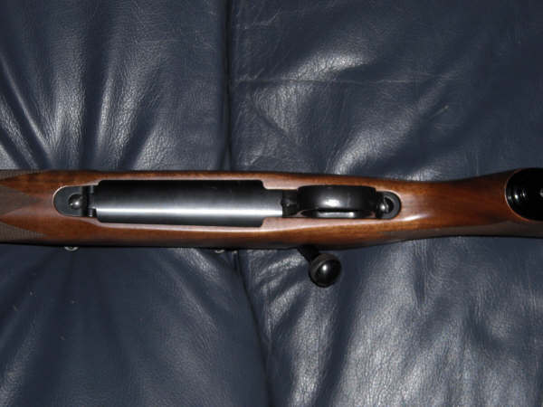 Close-up of a rifle's wooden stock and metal action with bolt handle