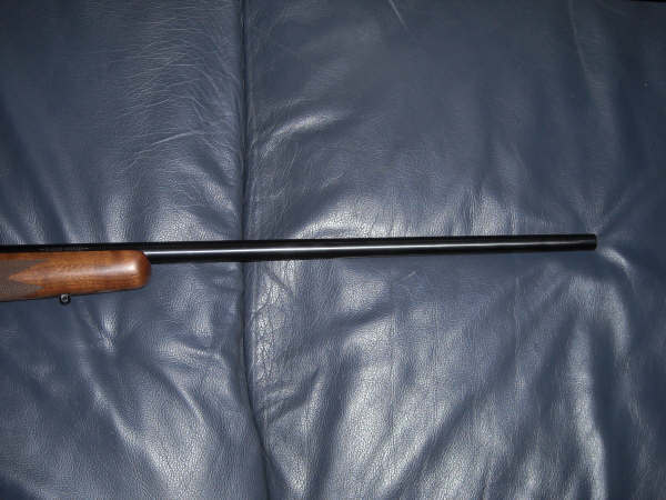 m703389.jpg