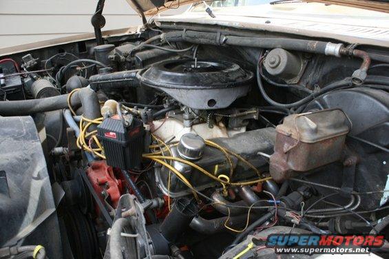Engine bay with V8 engine, air cleaner, distributor, and brake fluid reservoir