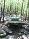 1991 Ford Bronco - A Ford Bronco tackles a challenging off-road course in a wooded area.