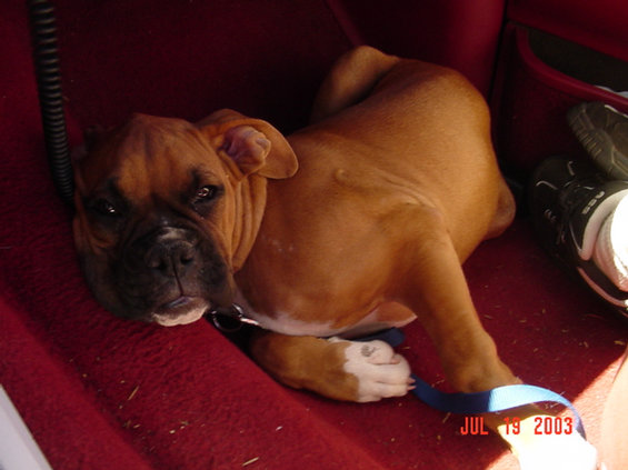 sandlake-71903-028.jpg Does this look comfy?