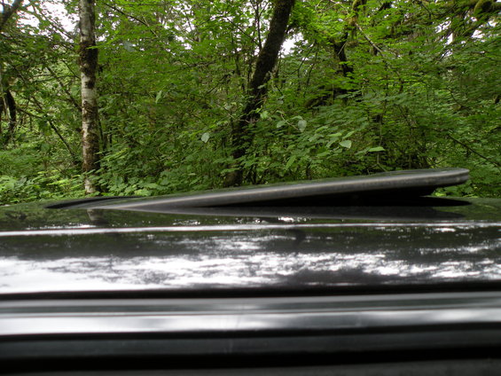 Close-up of a car's roof rack against a backdrop of green trees