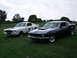 1970 Ford Mustang - Two Ford Mustangs, one dark blue 1970 model and a white one with racing stripes, parked on a grassy field.