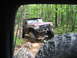1991 Ford Bronco - A red 1991 Ford Bronco navigates a rocky, muddy trail through a forest.