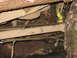 1991 Ford Bronco - The underside of a vehicle is heavily soiled, with visible chains and straps attached to its components.