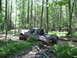 1991 Ford Bronco - This 1991 Ford Bronco is navigating a muddy trail through a dense forest.