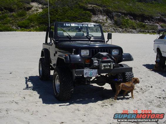 Black 1995 Jeep Wrangler on a sandy beach with a dog
