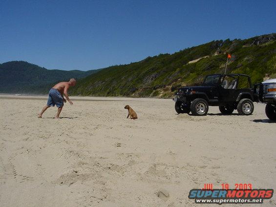 Black Jeep Wrangler parked on beach, man playing with dog nearby. Another vehicle partially visible