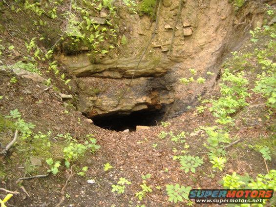 Cave entrance in a wooded area with rocky overhang and green foliage