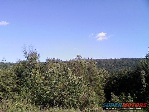 Wooded hillside under a blue sky with scattered clouds