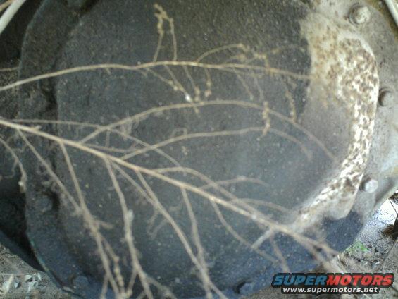 Close-up of a vehicle's differential with some plant roots growing over it