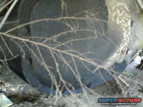 Differential housing with branches obscuring view. Text 'SUPERMOTORS' visible