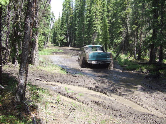 Green pickup truck navigating a muddy forest road