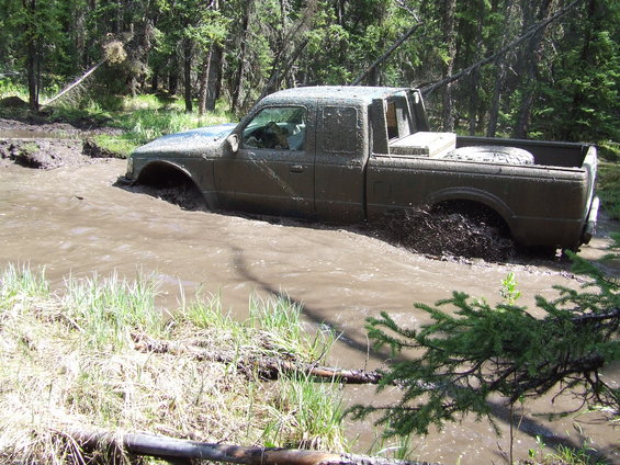 Muddy pickup truck driving through water in a forest