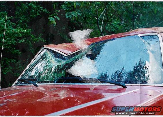 not-gonna-buff-out-.jpg Thats not gonna buff out! 