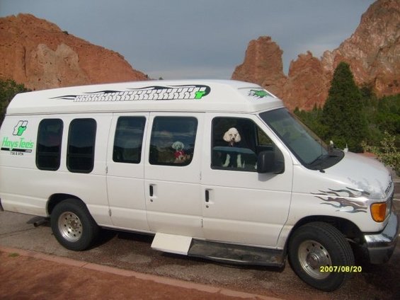 White van with flame decals on the front fender and a 'Hays Tees' logo on the side. Two dogs are visible in the windows
