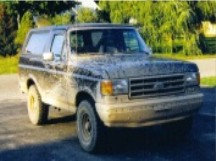 broncoavatarmj.jpg Bronco Avatar. MJ