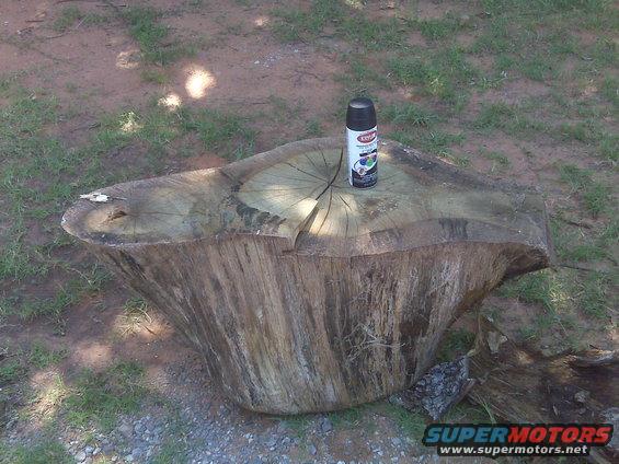 Tree stump with a can of Krylon spray paint on top, outdoors