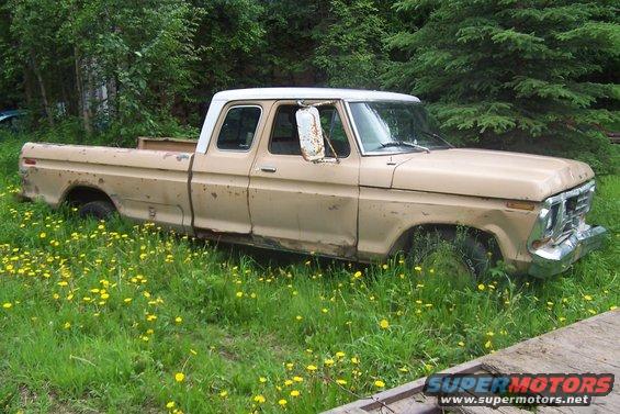 Old tan pickup truck with a white top sitting in a field of dandelions