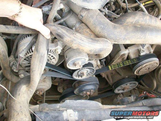 smog-pump-009.jpg Serpentine Belt w/o smog pump