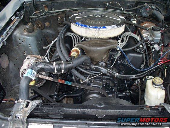 my-pics-100.jpg with a drop base air cleaner it all fits under the stock hood, barely! i had to notch the hood bracing here n there to make everything fit.