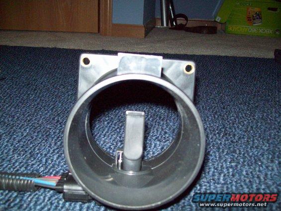 100_1237.jpg 