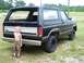 1981 Ford Bronco
