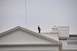 1996 Ford Bronco - A person is visible on the roof of a large white building under an overcast sky.