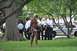1996 Ford Bronco - Police officers observe a man walking with a stick in a park setting, with vehicles in the background.